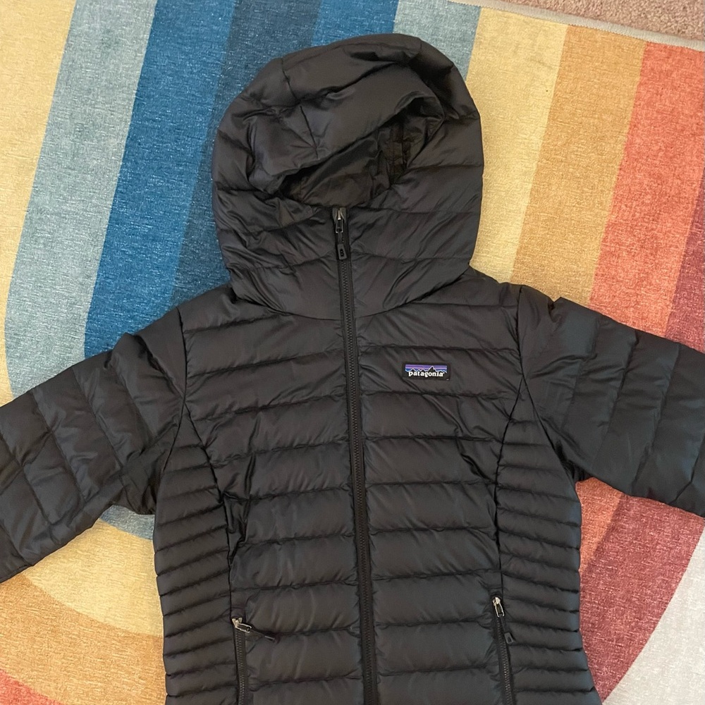 Patagonia Women’s Down Sweater Hoody